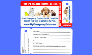 Pet Key Tag Wallet Card Combo / 2 Pack